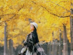 -汉长安城未央宫国家考古遗址公园