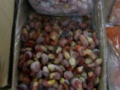 -韩家墅海吉星农产品批发市场