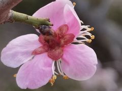 -广富林郊野公园