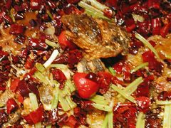 -老板恋上鱼(恒隆广场店)