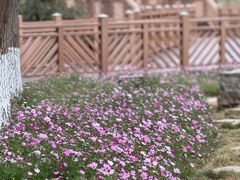 -神光山国家森林公园