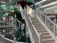 -南宫五洲植物乐园