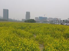 -保定东湖公园(莲池区)