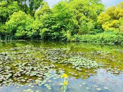 -白马涧龙池景区