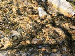 -碓臼峪自然风景区