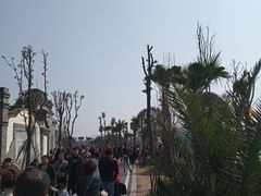 -枫香湖儿童公园