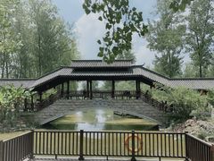 -合肥滨湖国家森林公园