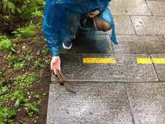 -汤旺河林海奇石景区
