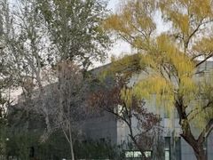 -南开大学(八里台校区)