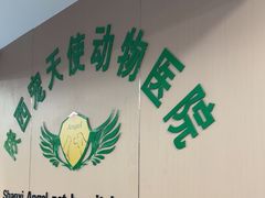 -天使宠物医院·犬猫分诊(彩虹店)