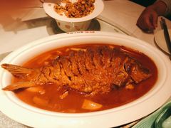 红烧黄河鲤鱼-阿五黄河大鲤鱼(英协路店)