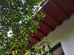 -深业半汤御泉庄温泉