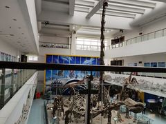 -中国地质大学逸夫博物馆