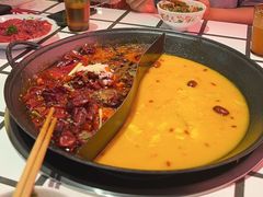 -朱光玉火锅馆(正弘城店)