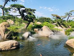 -罗红摄影艺术馆