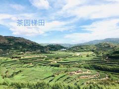 -军营村