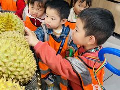 -金点蒙氏国际教育(悠然校区)