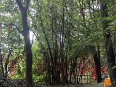 -西华公园