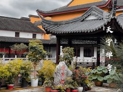 -常州天宁禅寺