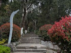 -云龙山