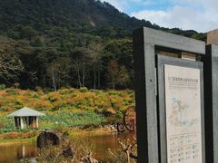 -广州市石门国家森林公园