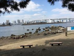 -台场海滨公园船码头
