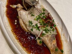 清蒸多宝鱼-红樱桃·欢乐餐厅(太原里店)
