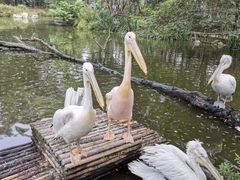 -济南野生动物世界