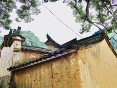 -杨家堂村