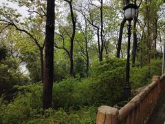 -三门江国家森林公园