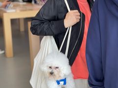 -Apple零售店(深圳益田假日广场店)