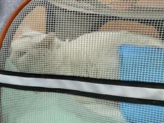 -派美特宠物医院·核磁CT·骨科肿瘤·疑难转诊(沈农禾丰店)