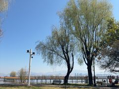 -洱海月湿地公园
