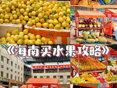 -新鸿港水果市场