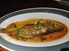 大黄鱼-前海沿·青岛菜(五四广场永旺店)