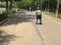 -丁香湖公园