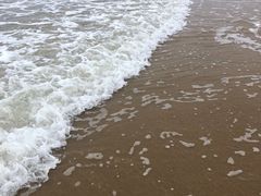 -日照海滨国家森林公园