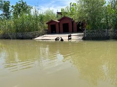 -东平国家森林公园