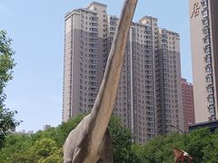 -陕西自然博物馆