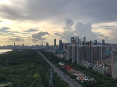 -福田红树林生态公园