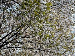 -唐城墙遗址公园