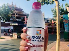 -青岛方特梦幻王国
