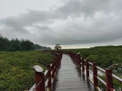 -北海金海湾红树林生态旅游区