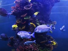 -华夏文旅海洋公园