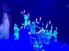 -珠海横琴长隆《卡卡虎奇遇记》