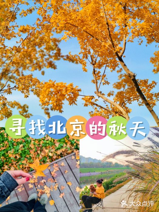 坝河休闲公园图片