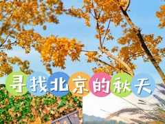 -坝河休闲公园