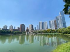 -宝岛公园