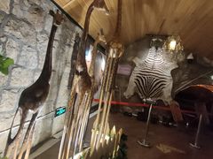 -青岛葡萄酒博物馆