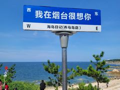 -海岛日记(养马岛店)